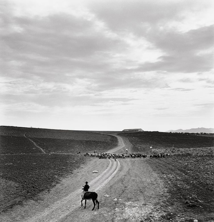 Licata 1960 - foto di Pietro Donzelli, 1960