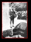 [Click to enlarge]